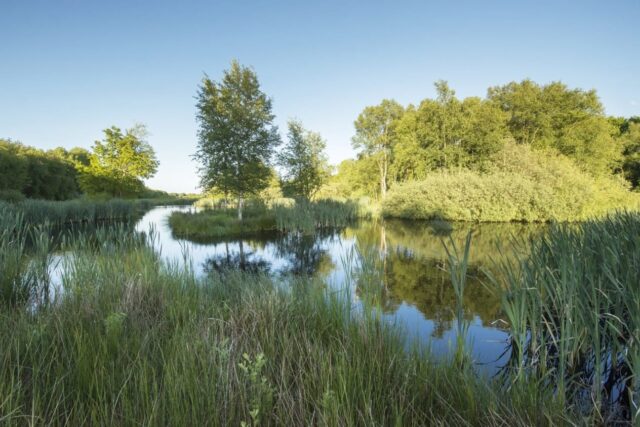 Hillig Meer