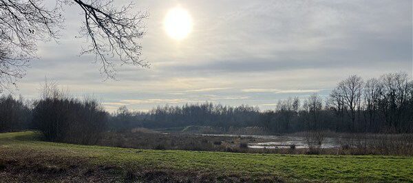 Vaarle