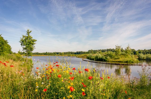 Van agrarisch bouwland naar recreatieve uitloopnatuur